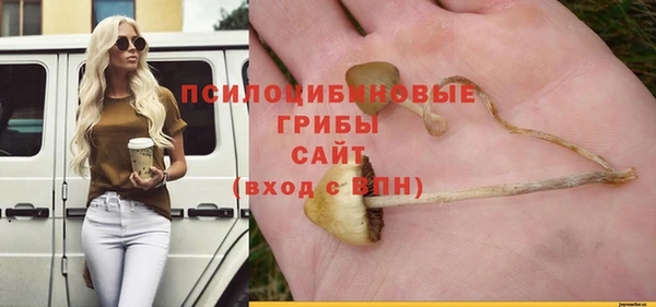сатива Абаза