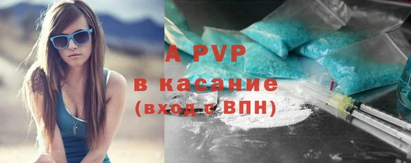 сатива Абаза