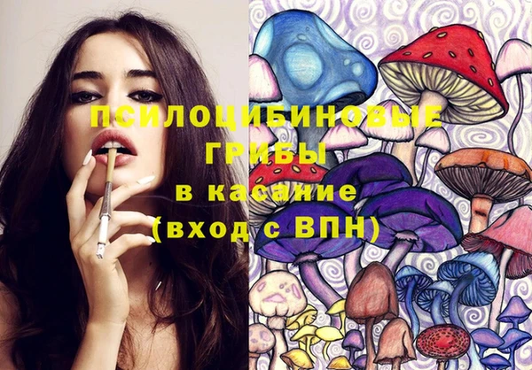 PSILOCYBIN Абдулино