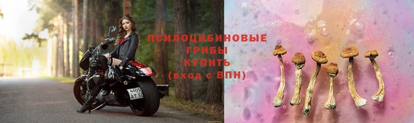 гидропоника Абинск