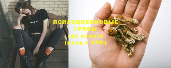 PSILOCYBIN Абдулино