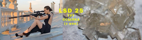 PSILOCYBIN Абдулино