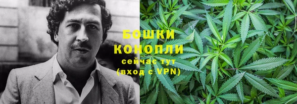 PSILOCYBIN Абдулино