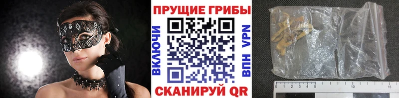 нарко площадка как зайти  Чебаркуль  Псилоцибиновые грибы GOLDEN TEACHER 